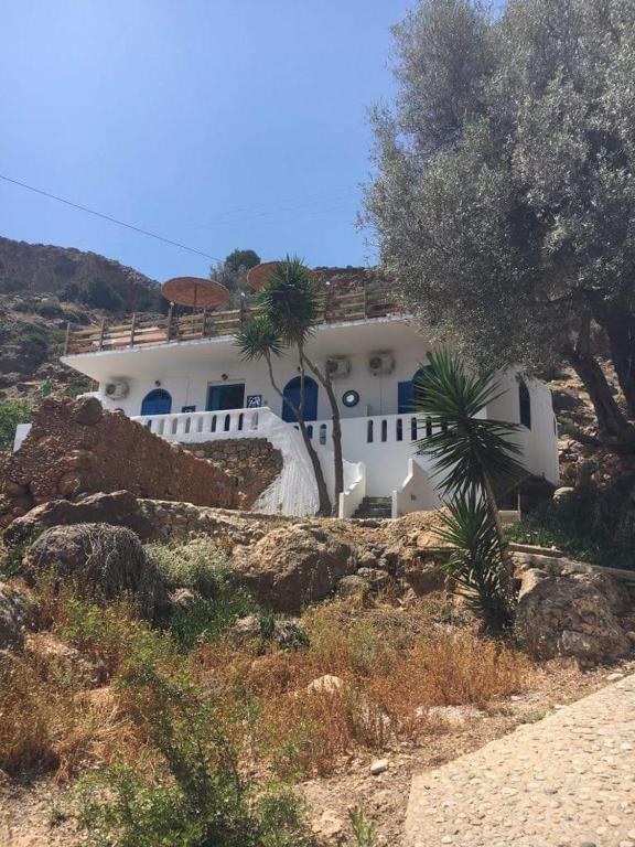 oasis